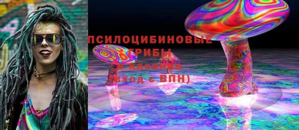 твердый Абаза