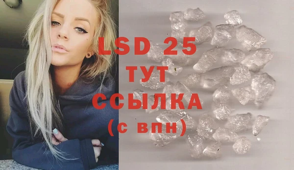 стаф Алзамай