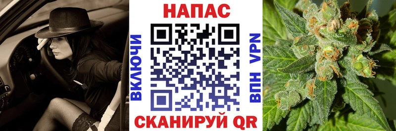 Шишки марихуана Bruce Banner закладка Томилино